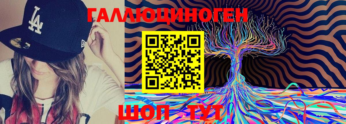 Свободный  Псилоцибиновые грибы Magic Shrooms  Галлюциногенные грибы Psilocybine cubensis  купить наркотик  Вход с VPN 